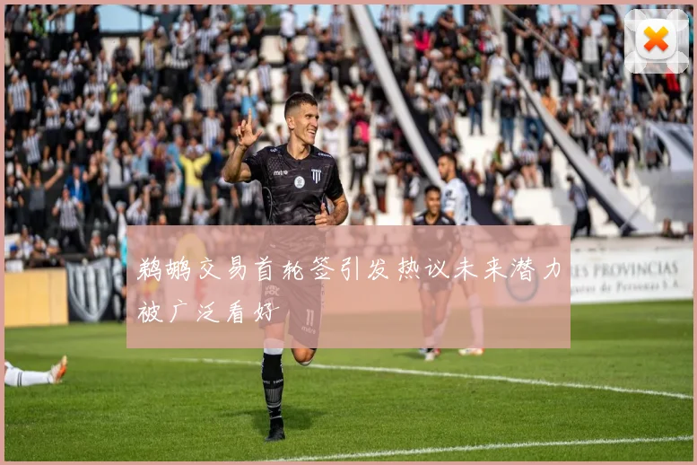 鹈鹕交易首轮签引发热议未来潜力被广泛看好